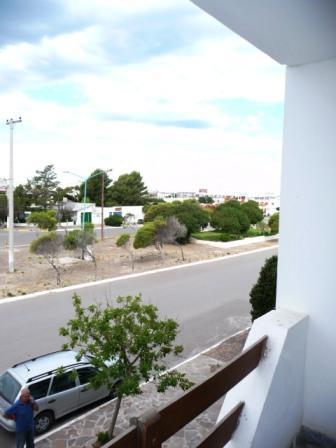 PAMPA OLIVO2